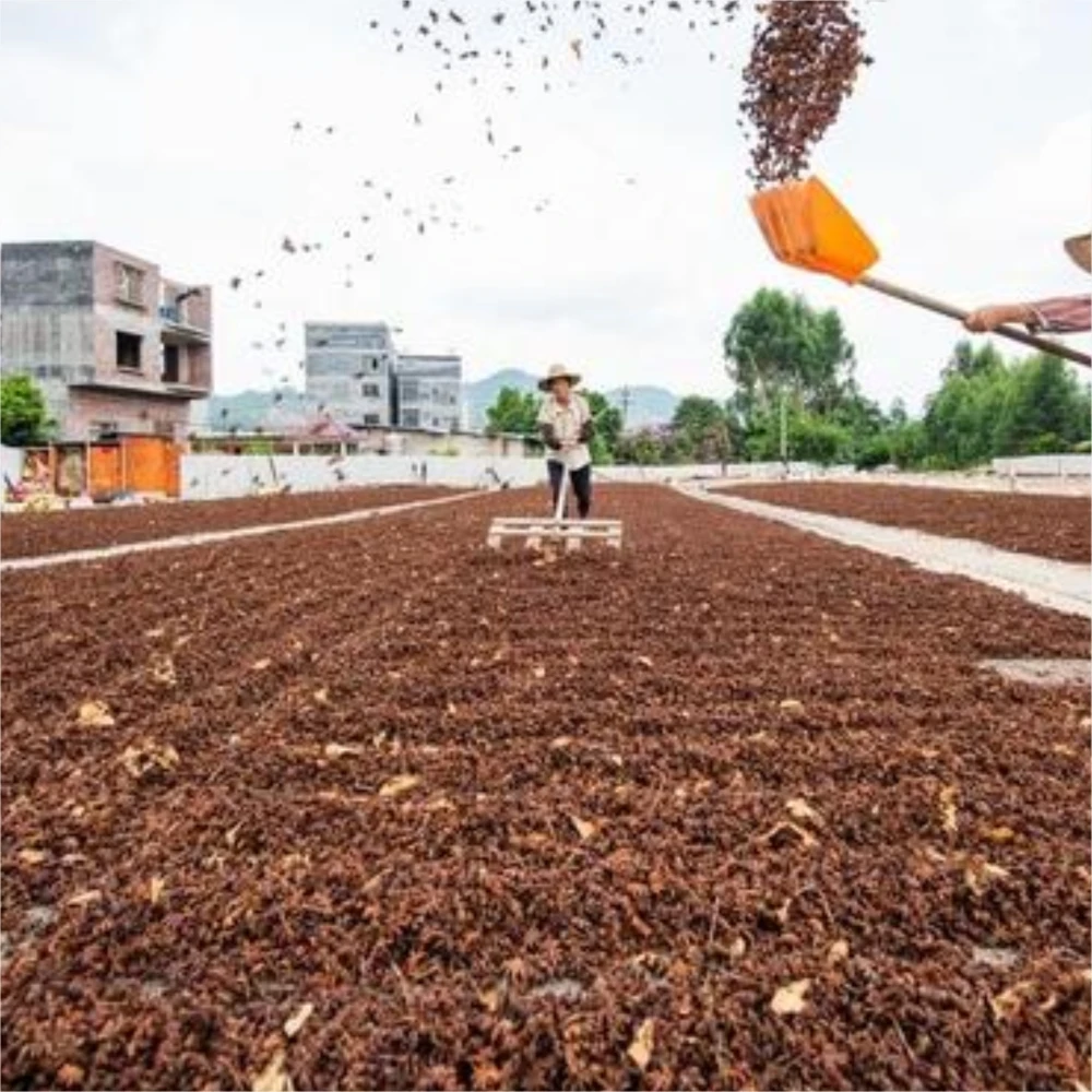 Заводская 100% натуральная Сладкая Пряная Высококачественная Гвоздика из свиной грудинки и аниса гриль для барбекю порошок со вкусом оленины семена