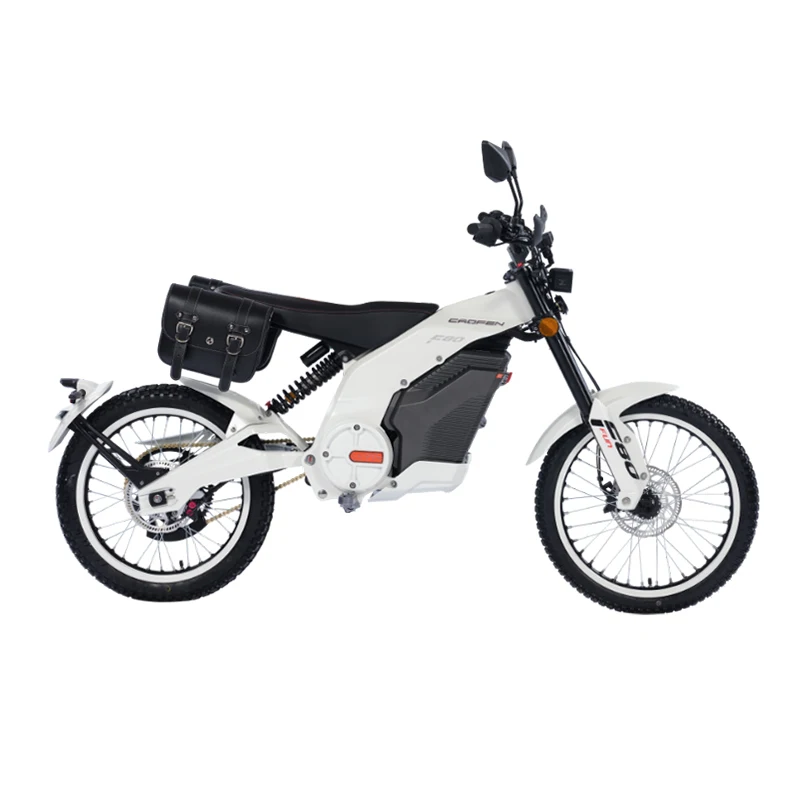 eec certification electric mountain bike 4000w 8000w 72v 30/32/48/60ah Lithium battery electric bike motorcycle