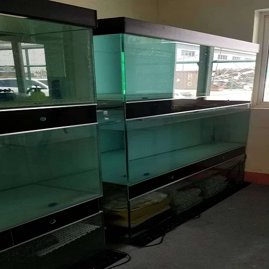 Qingdao Factory Manufacture 12mm Clear  Glass Aquarium for Breeding fish