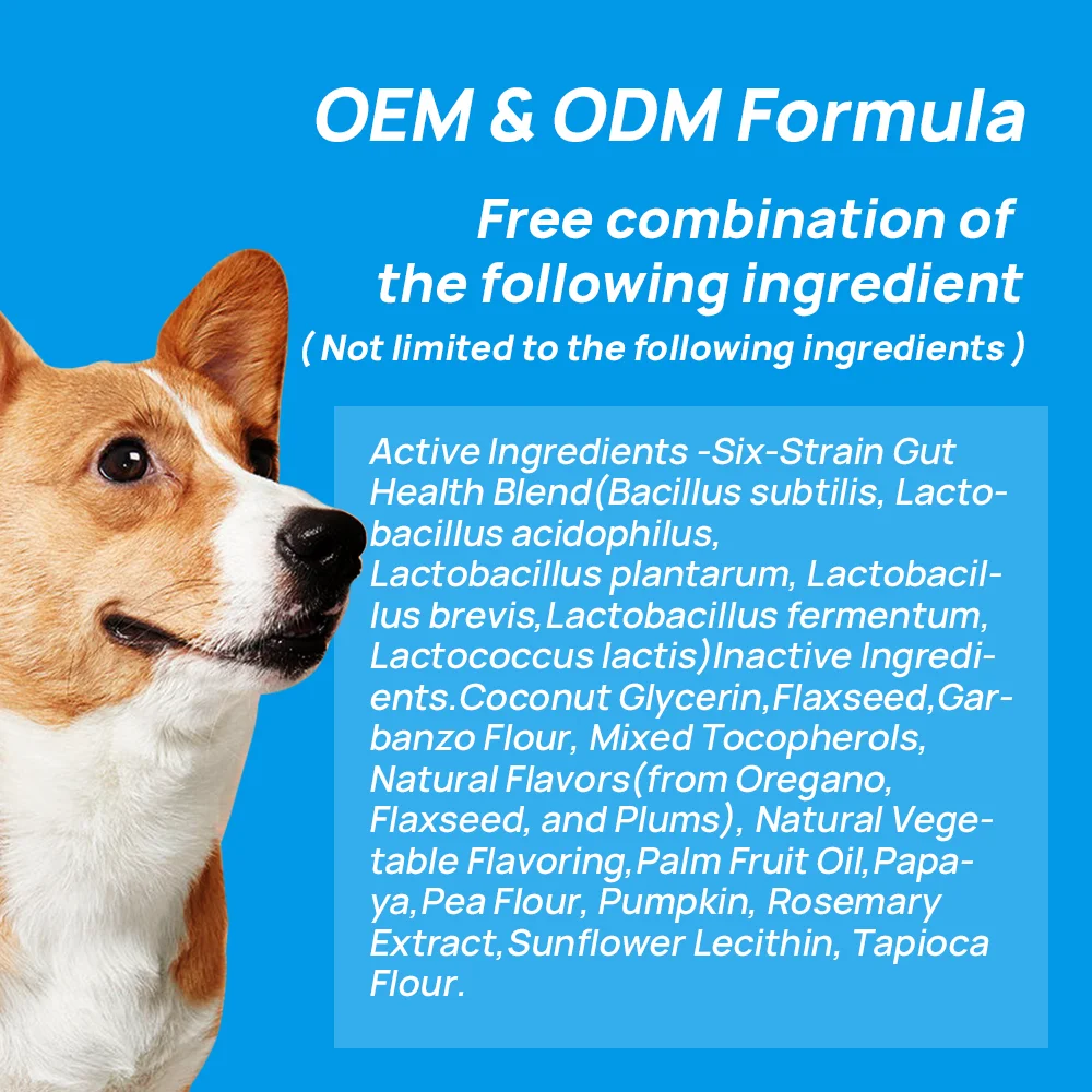 Stomach Guard | OEM/ODM Natural Probiotic Soft Chew Dog Snacks Optimal Intestinal Health Pet Food and Supplement