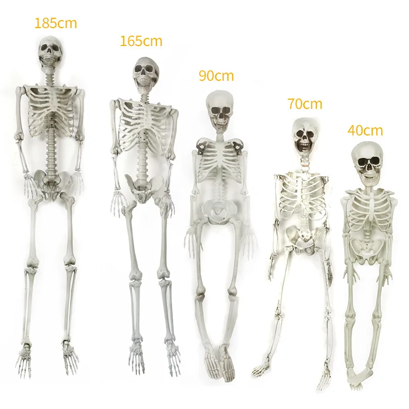 Halloween Props Scary Decorations Plastic Large 165Cm Full Life Size Halloween Skeleton