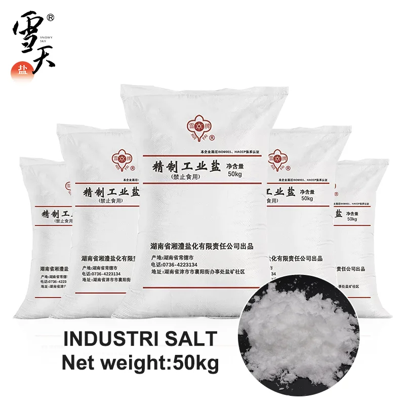 SNOWY SKY China brand new Salt manufacturer Refined industrial grade salt