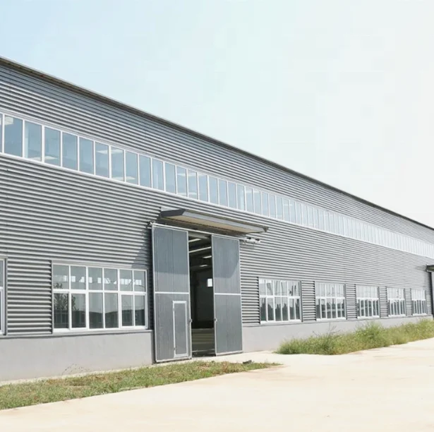 Стальной большой пролет высокого качества Prefab швейная мастерская строительное здание