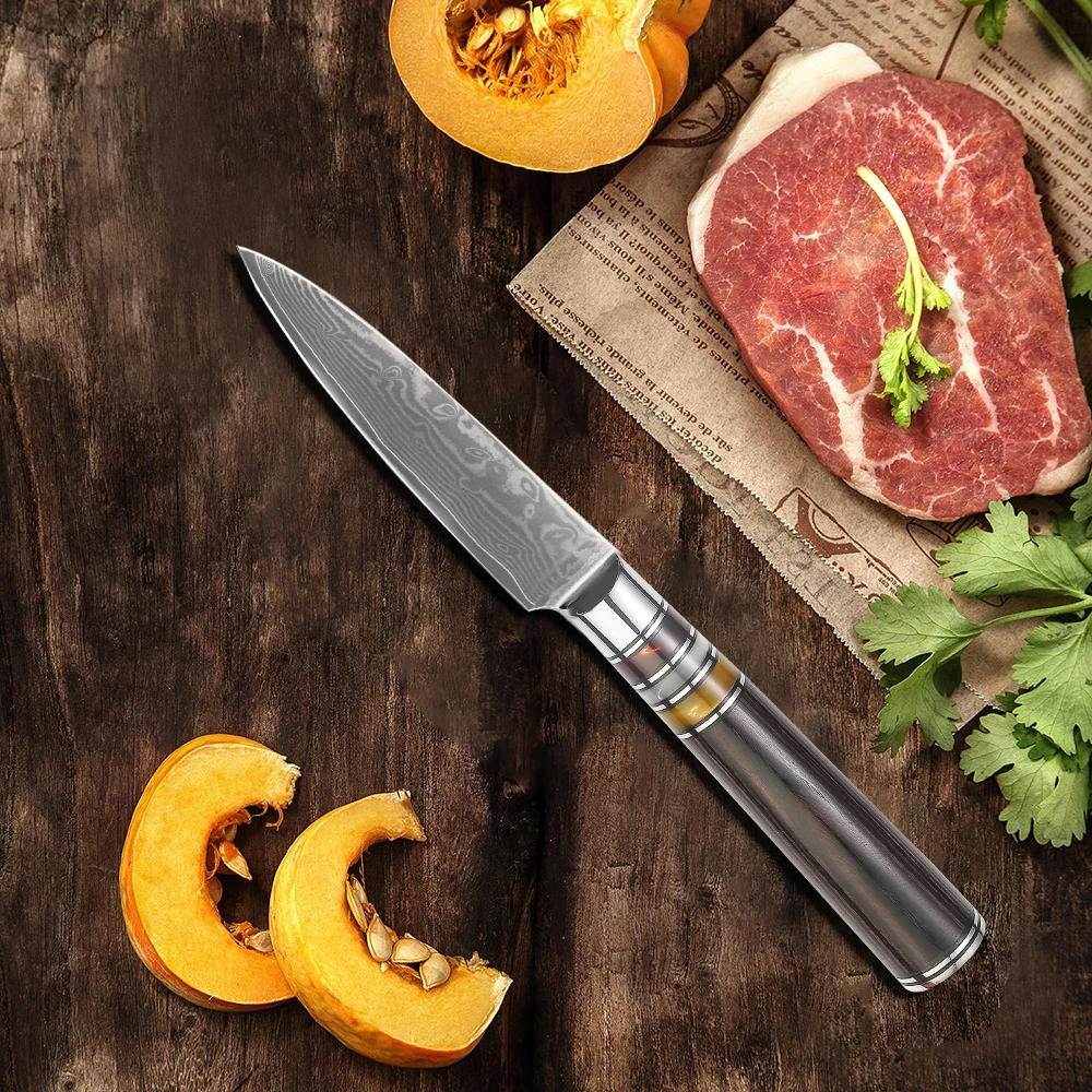 Best Quality Japanese Steel 67Layers 3.5 Inch Damascus Paring Knife