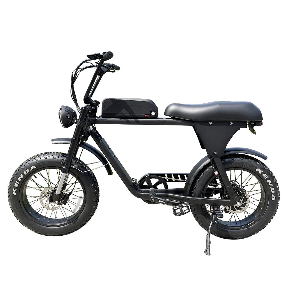 Lantu Ebike classic 48 volt 750w 1000w lithium battery moped style retro electric bikes for Men
