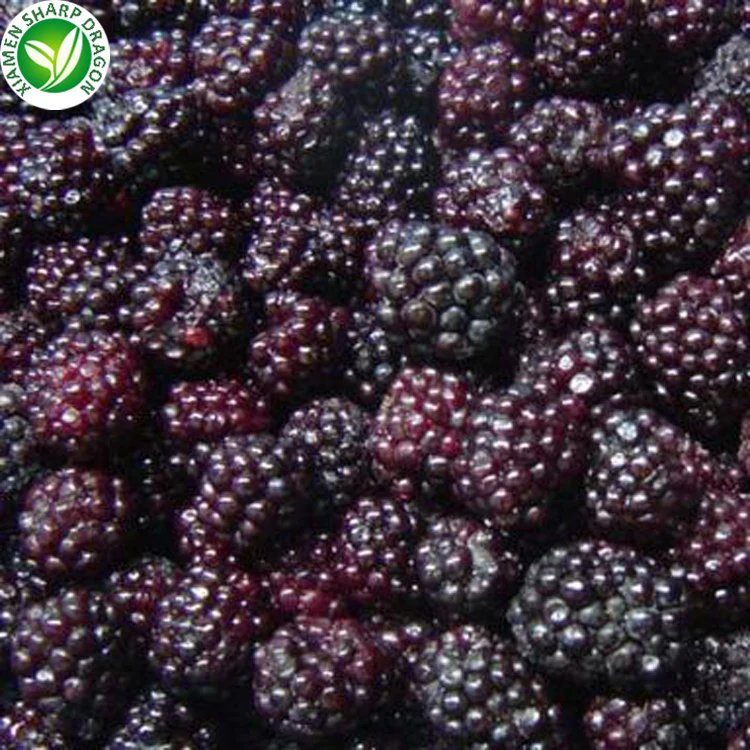 Bulk price fruit pulp iqf frozen blackberries
