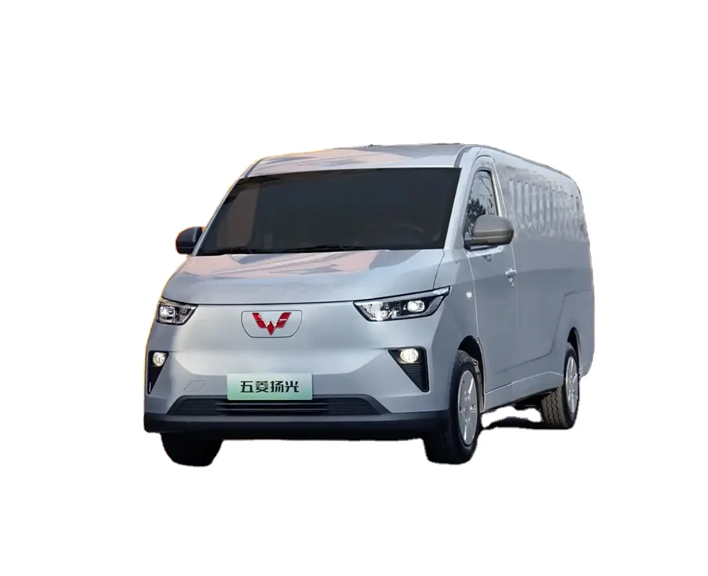 Chinese Brand Wuling New Energy Vehicles Pure Electrical Van China Electric Van