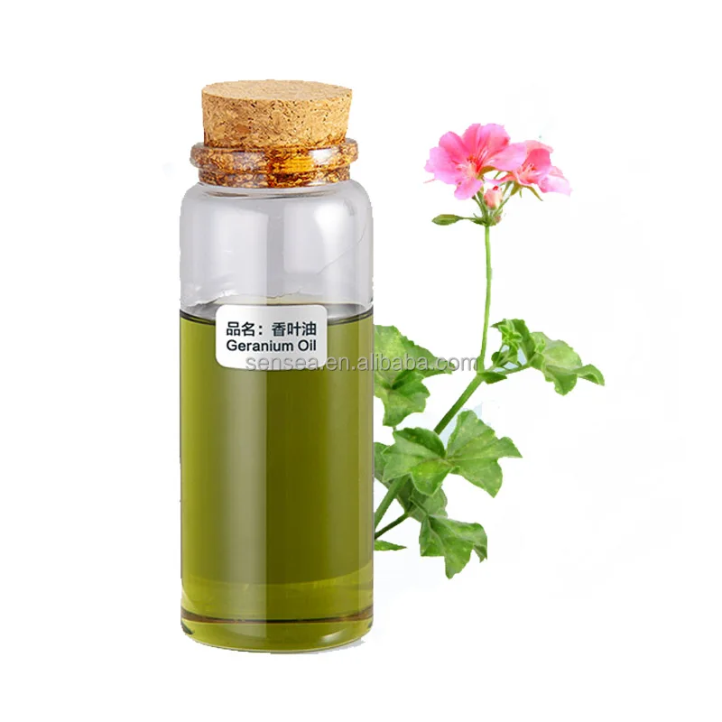 pure Natural extract flavor fragrance Gardenia bulk rose geranium essential oil geranium oil with wholesale price