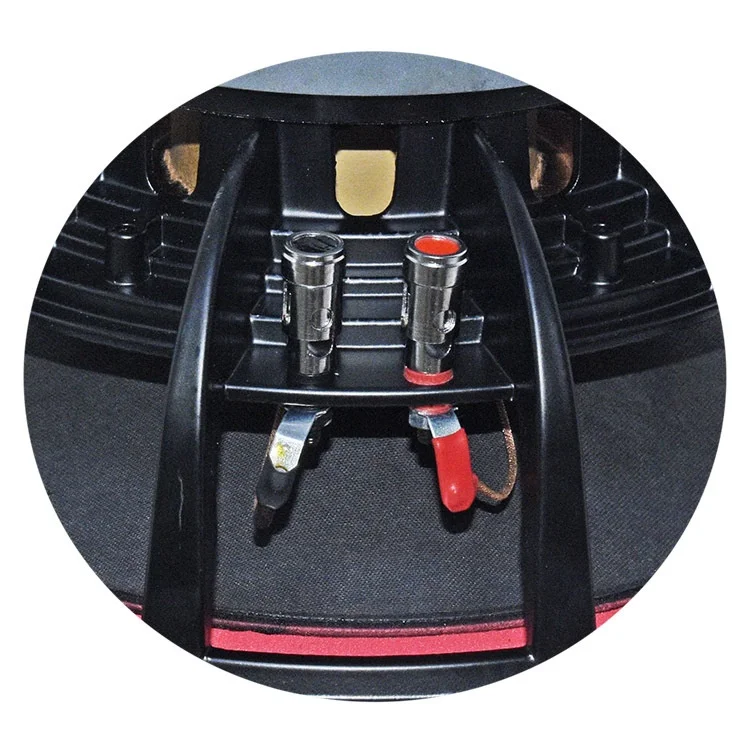 High Power 170 Magnetic 75 Core 12inch Insignia Sub Woofer Cone Double Magnet Woofer Active Dual Box Car Home 12 Inch Subwoofer