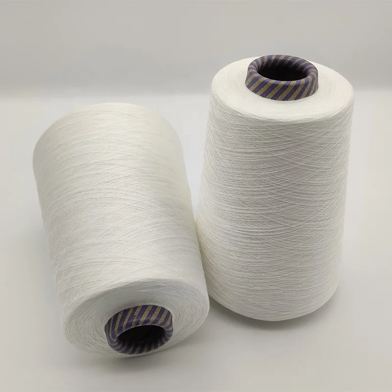 2021 China Yarn Supplier Free Sample Weaving Yarn 2/48NM Ramie Yarn For Clothing