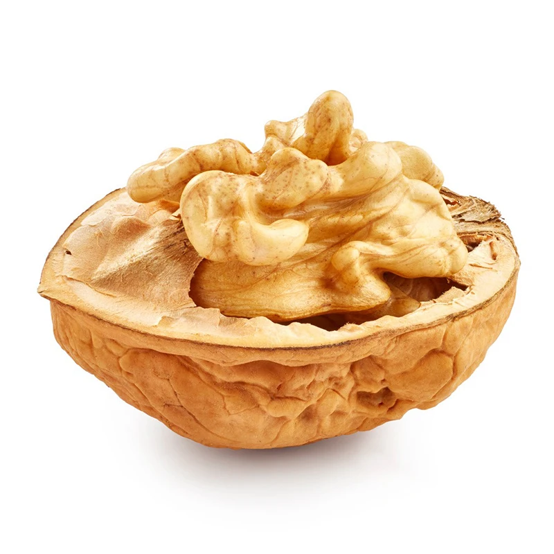 Qili brand factory direct sale walnut with shell Wholesale shelled walnut for daily diet Hot sale Natural walnut