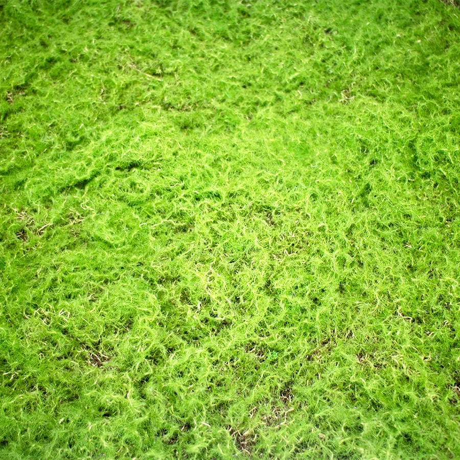 Artificial green moss 50cm x 50cm for vertical base application