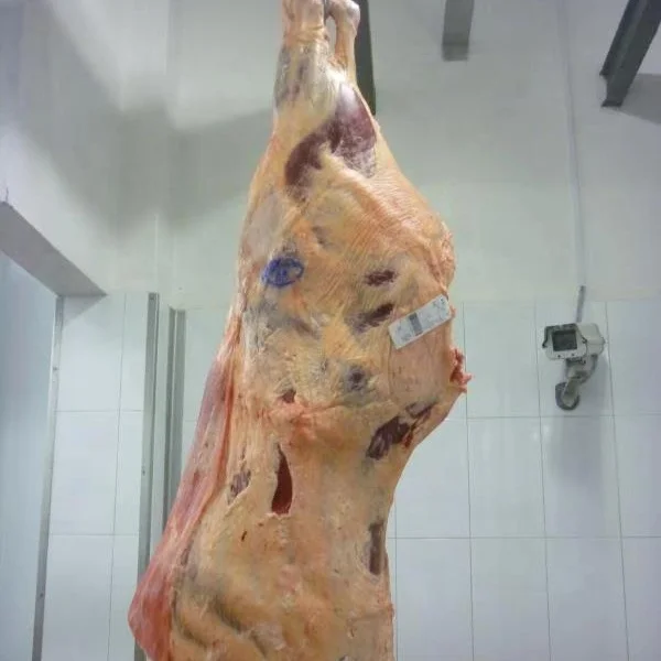 FROZEN BEEF/CATTLE/BUFFALO MEAT HALAL