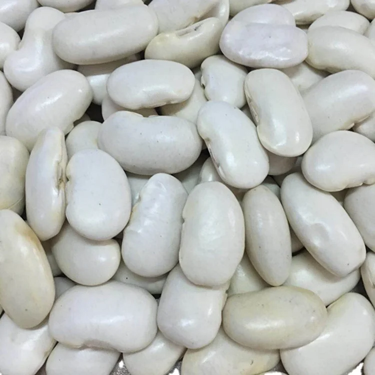 2024 new crop Chinese canned white kidney bean for human consumption