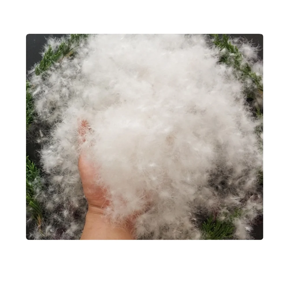 
white duck down/ goose down feather 