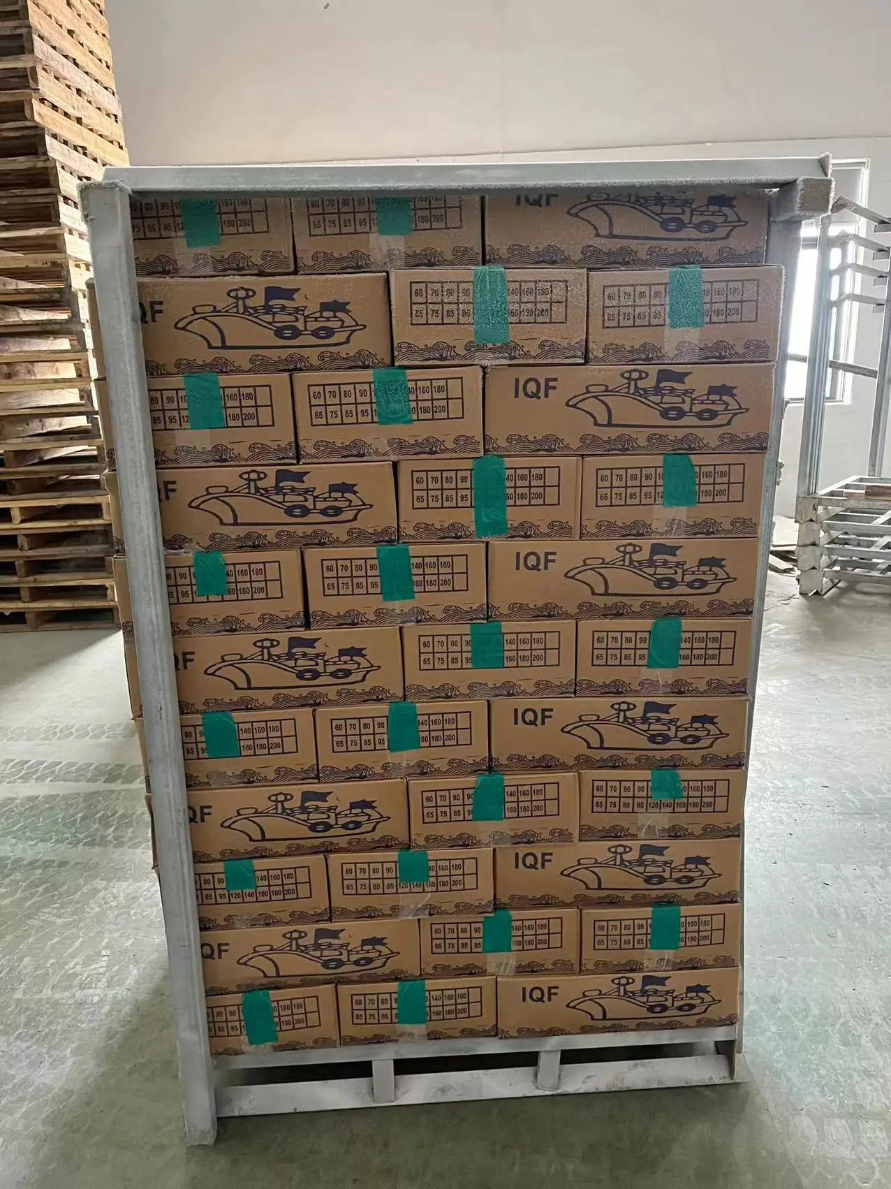 Moonfish Mene Maculata Good Sale Moon Fish Cheap