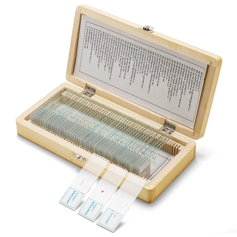  50pcs Middle School Education Used Prepared Glass Microscope Slides Set For Student Science