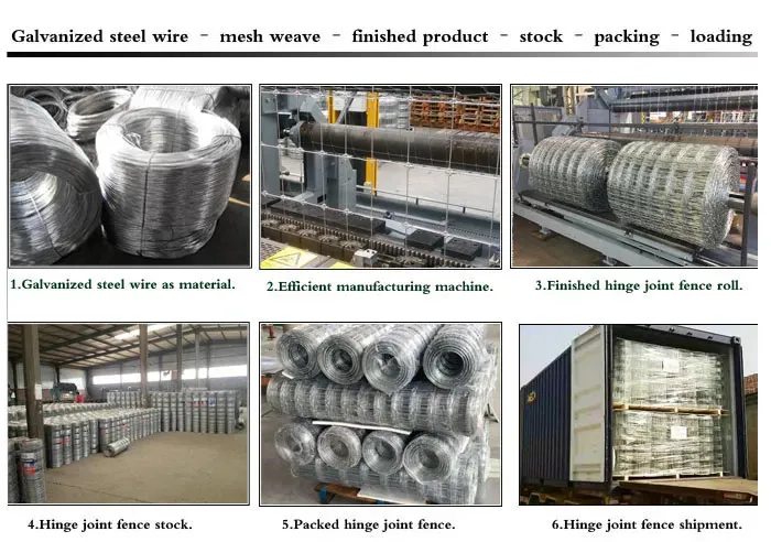 Sheep Goat frild fence (6).jpg