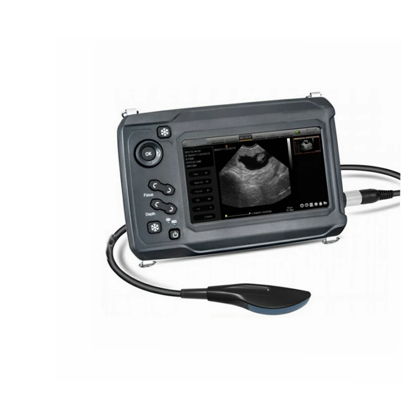 Ветеринарный ультразвук для теста на беременность с линейным ректальным зондом 6,5 МГц для коров, лошадей, овец, собак