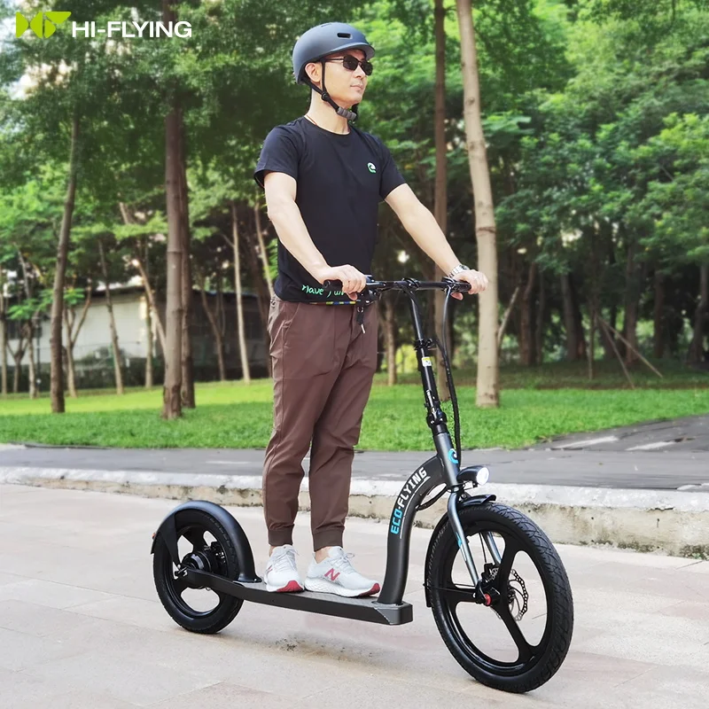 EU Warehouse Hot Sale Eco-Flying 350W 10Ah Big Wheels Foldable Electric Scooter