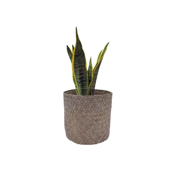 wholesale hot sale native planter flower indoor outdoor garden buy small seagrass plant pots  flower pot