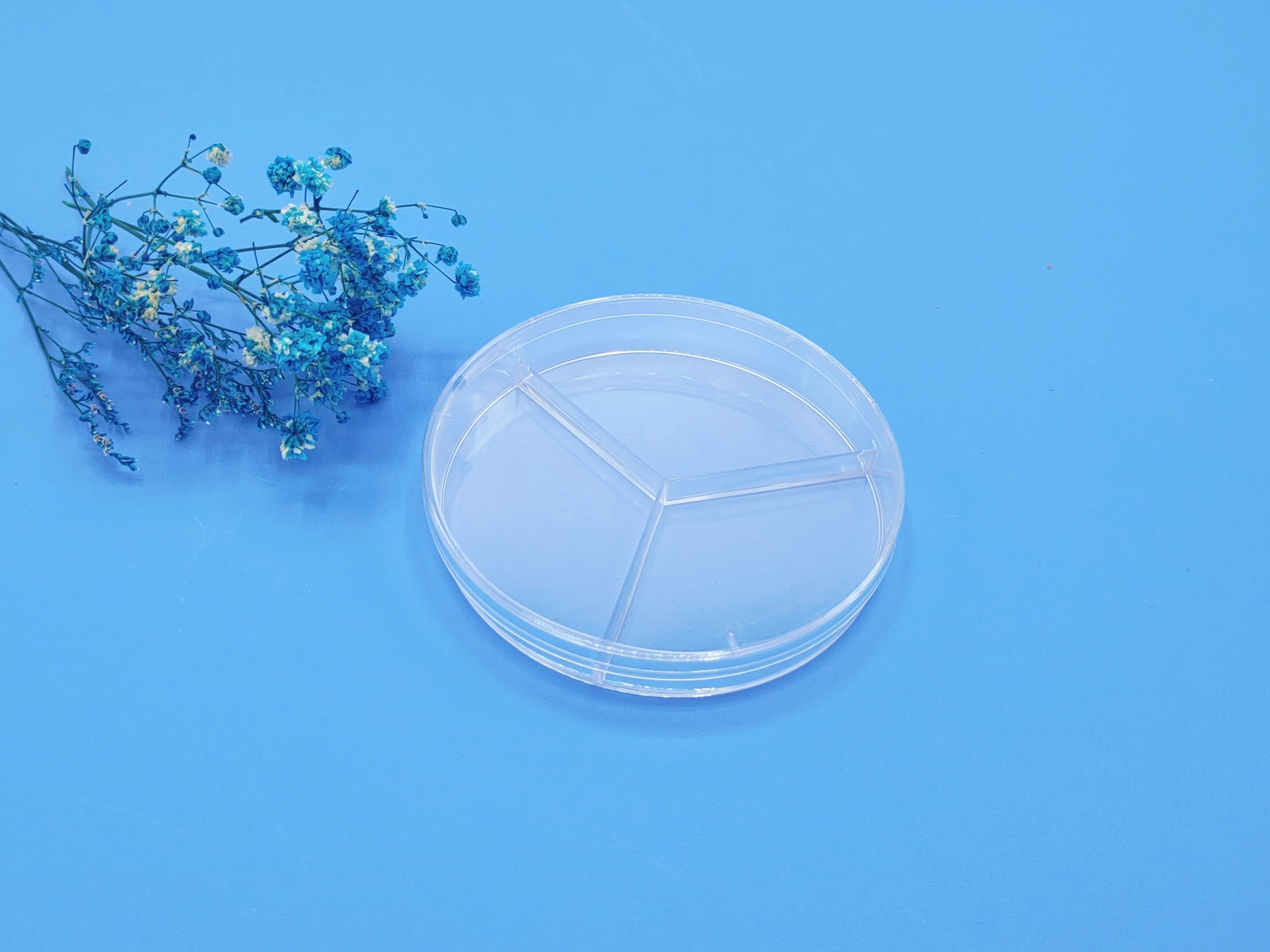 Custom wholesale fungus Petri dish plastic three-chamber petri dish