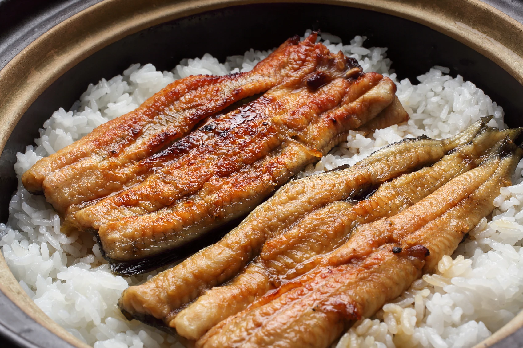 Fresh Fast No Sauce Roasted Eel Fish Frozen Roasted EEL For Fitness