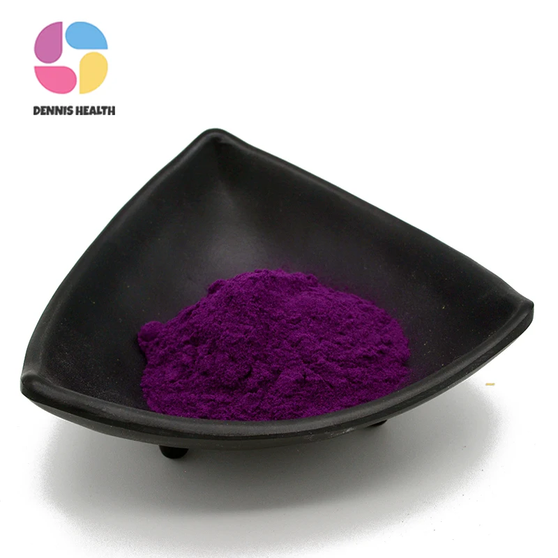 Factory Supply Anthocyanins 25% Black Currant Extract Powder