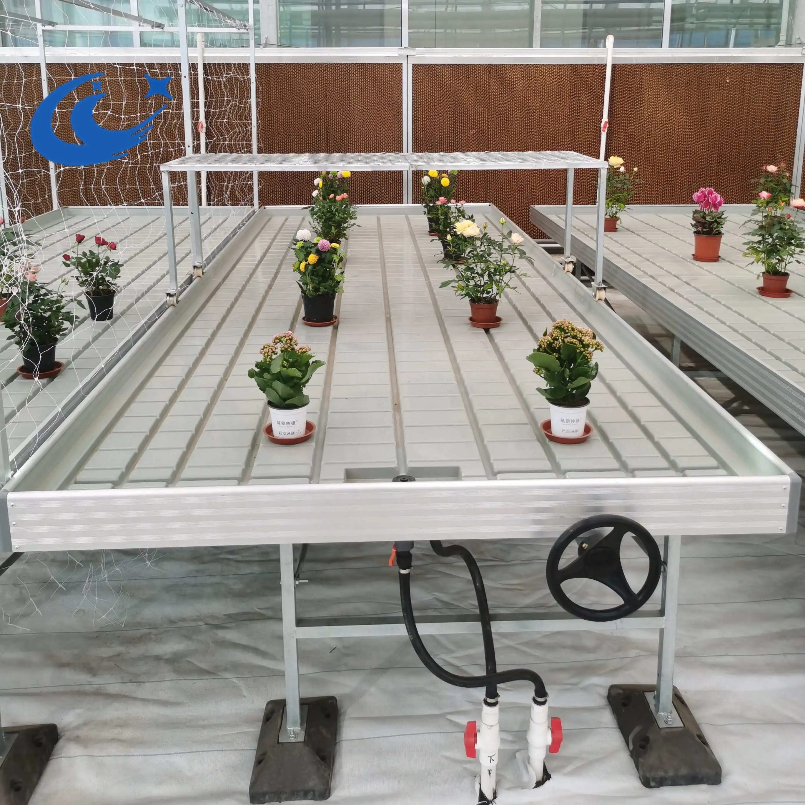 Тепличный стол ebb и поднос для гидропонных систем