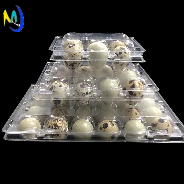 Carton packing box Plastic blister quail egg packing box /quail egg tray for sale
