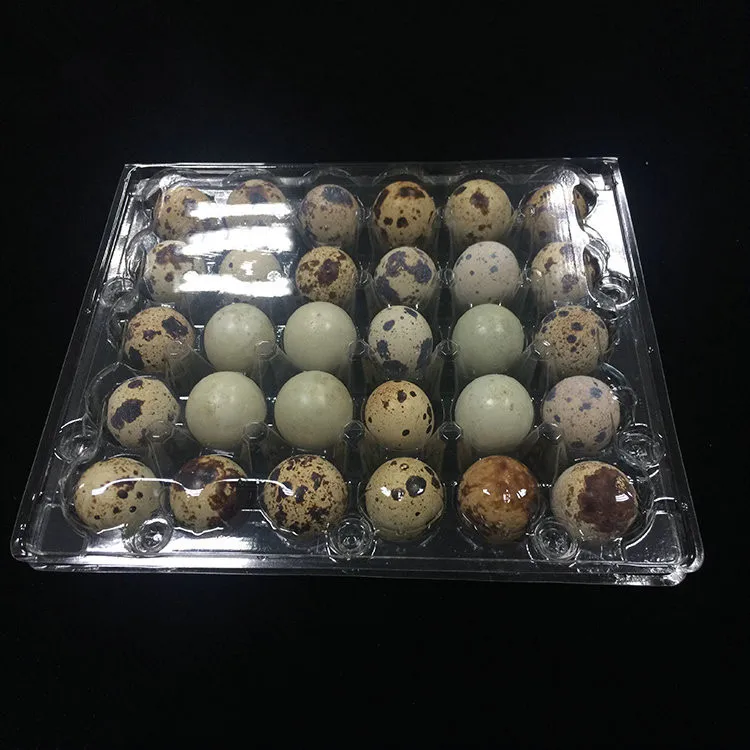 chinese factory outlet jumbo quail egg carton for sale