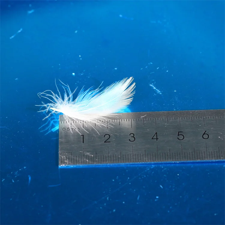 Wholesale 2-4Cm Washed White Duck Feather Natural Duck Feather Down For Pillow Duvet Use