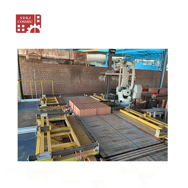 Fully automatic clay brick production line machinery with vacuum extruder & robot stacking machine for clay brick