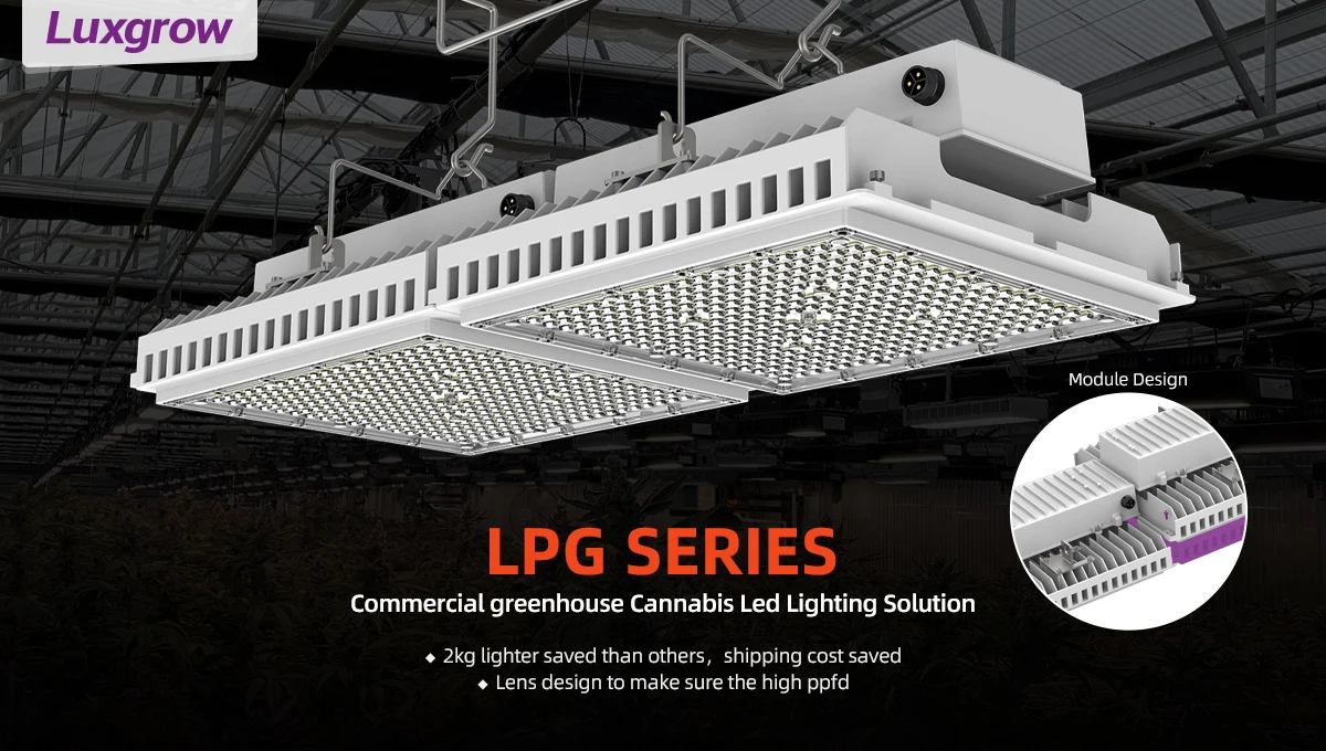luxgrow top lighting indoor Greenhouse LED Grow Light 800w 1200w OSRAM chip 100-277V for growing medical plant