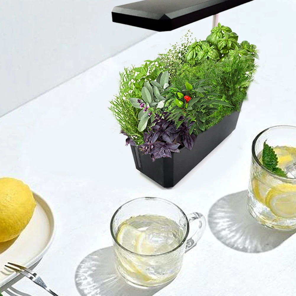 mini smart herb garden kit indoor morden hydroponic growing system with 6 Plant pods