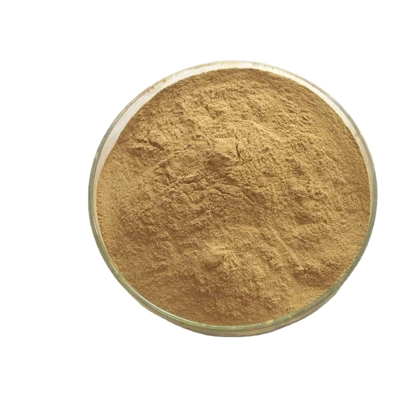 Stomach Protein Digestive Enzymes 98% beer yeast powder