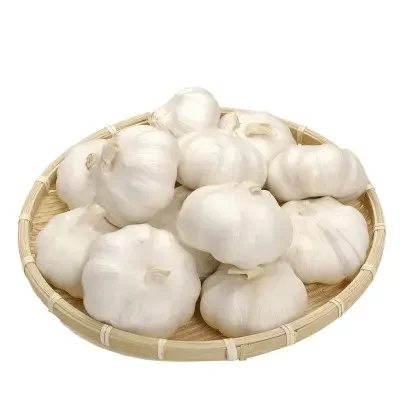 Top grade high quality fresh snow white garlic super white 3P 4P 5P 6Pin carton small package boxed factory price white garlic