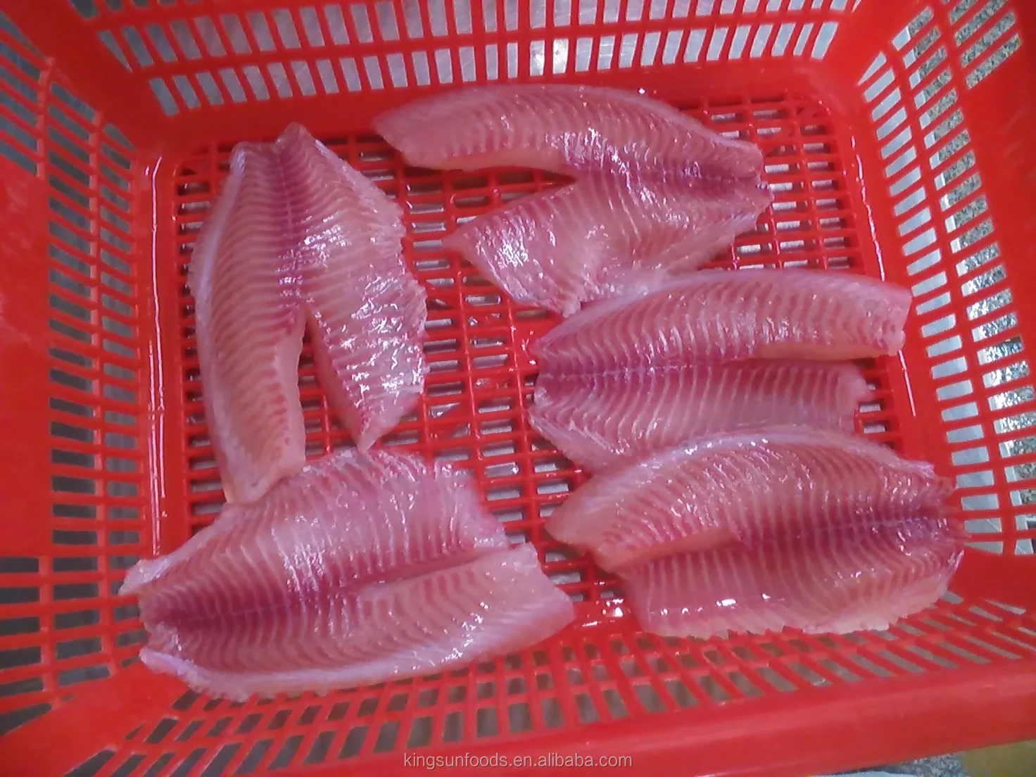 Frozen Tilapia Fish Fillet IQF IVP Processed Box/Bag Hot Seller