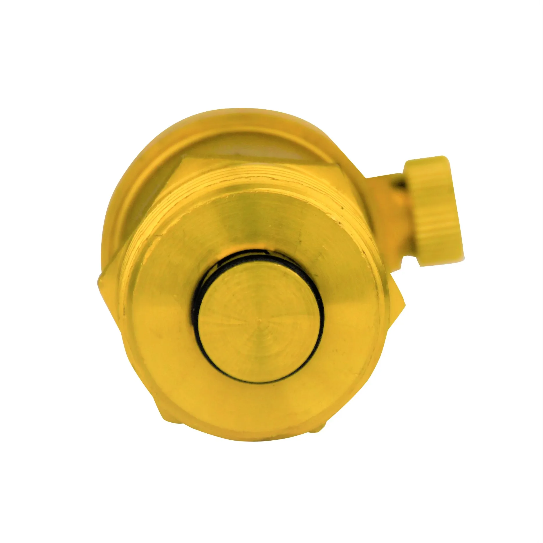 DN25 Pipe vent valve brass vent valve heating automatic vent valve