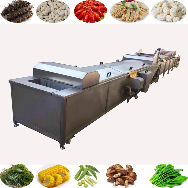 Industrial electric steam corn grain sweet corn green beans Carrot mushroom fruit and vegetable cooking and blanching machine