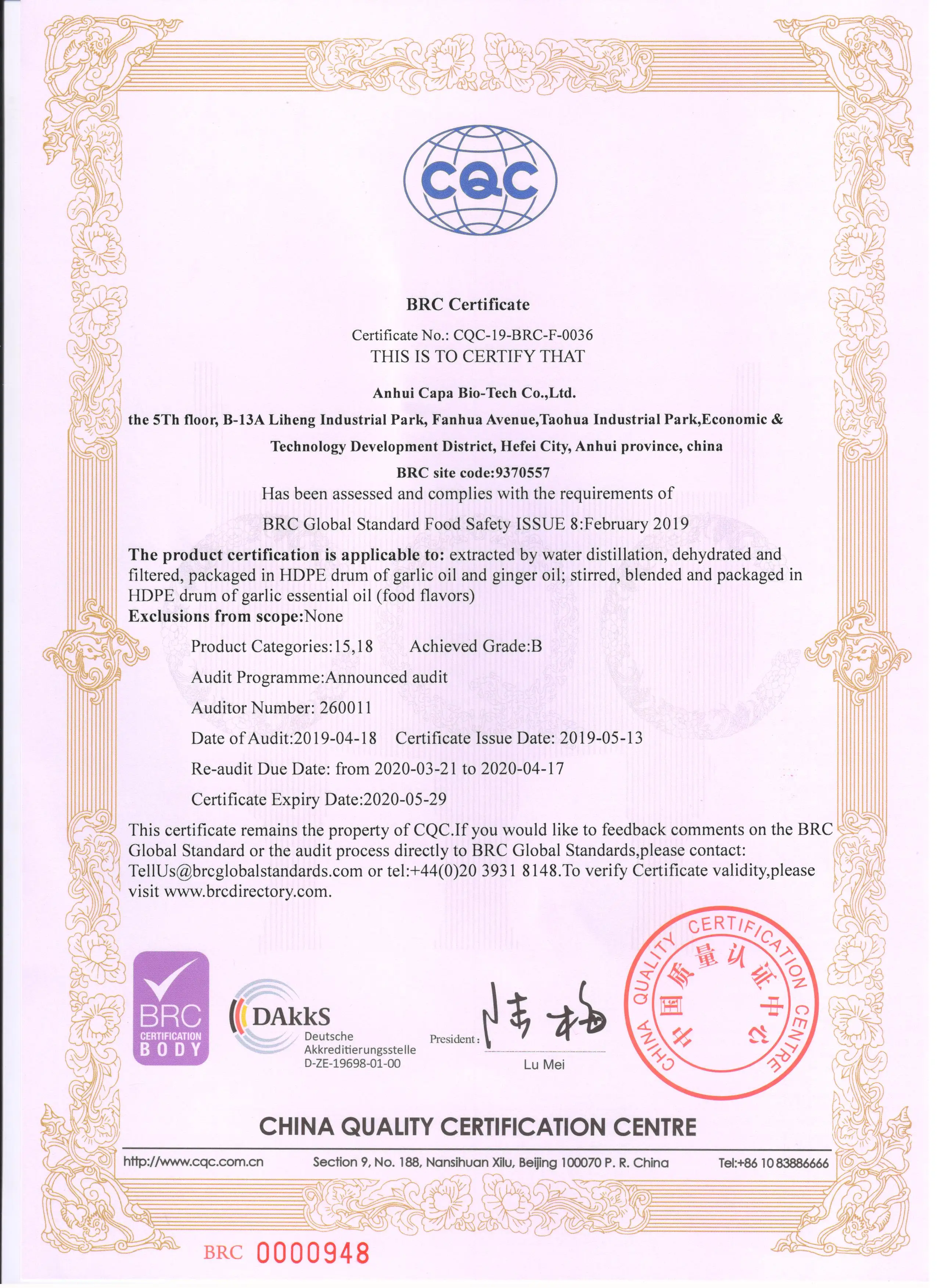 Professional Supplier Nature Ginger Oil with Competitive Price