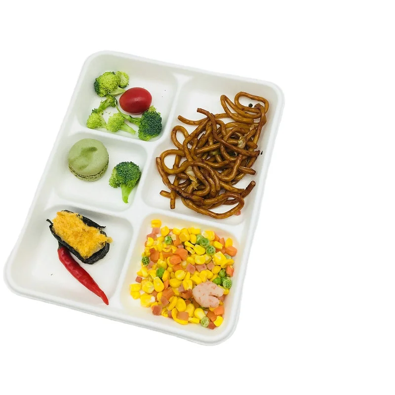 Biodegradable Bagasse Tableware 5 Compartment Food Tray Dishes Plates School Food Container