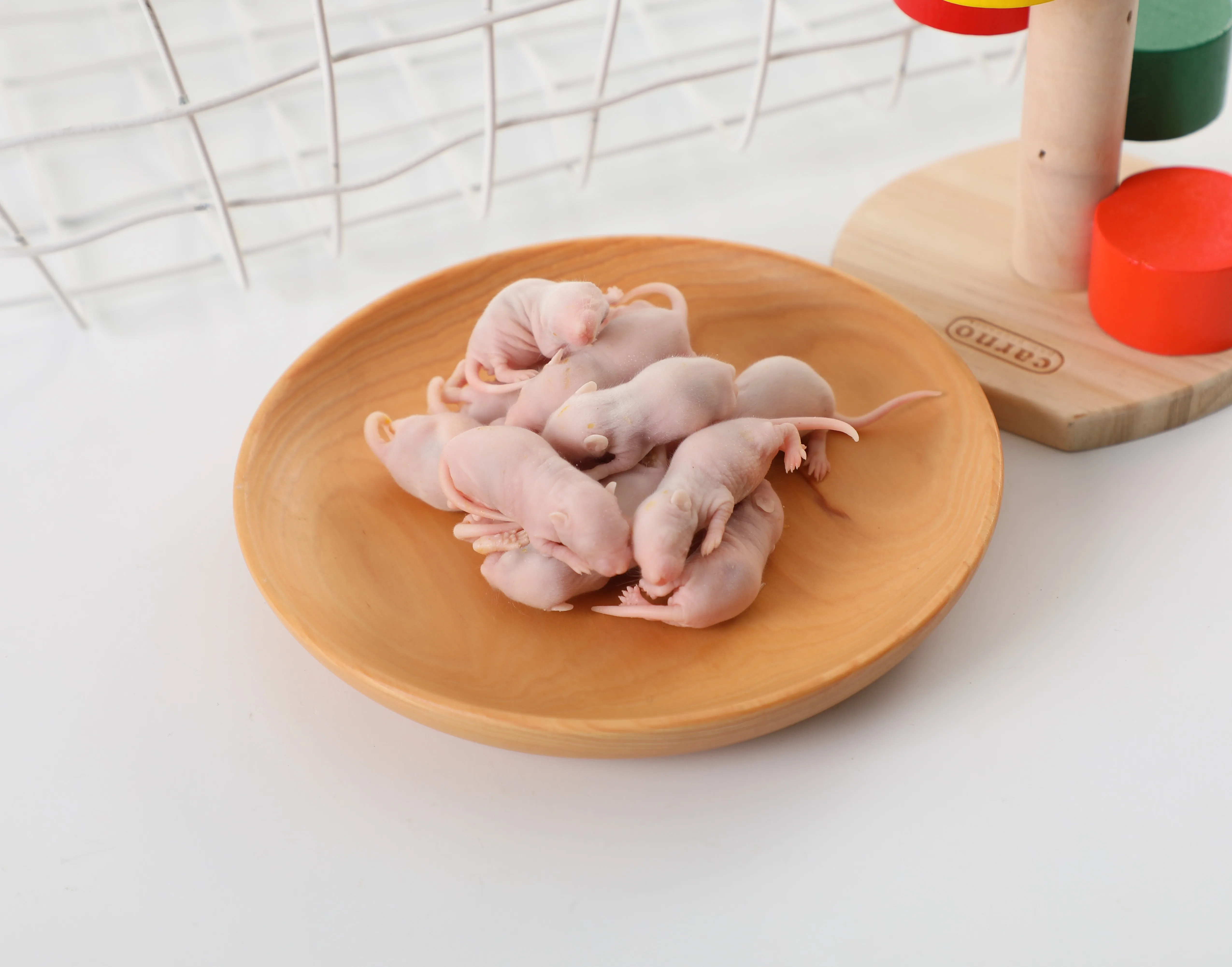 Замороженные кормушки и крысы Daren Fucheng для рептилий, амфибий, доступны птицы-добычи