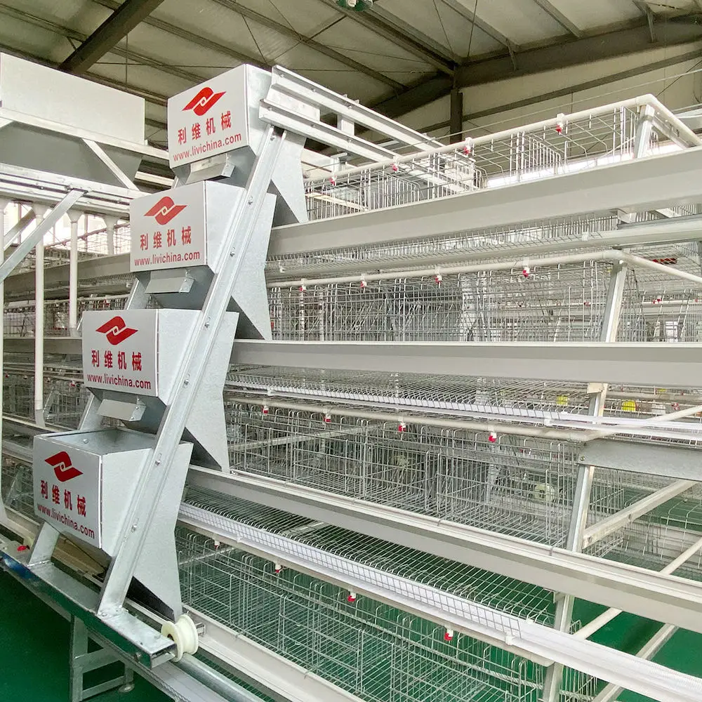 High Quality a Type Egg Laying Equipment Hen Poultry Farm Chicken Cages Egg Layer