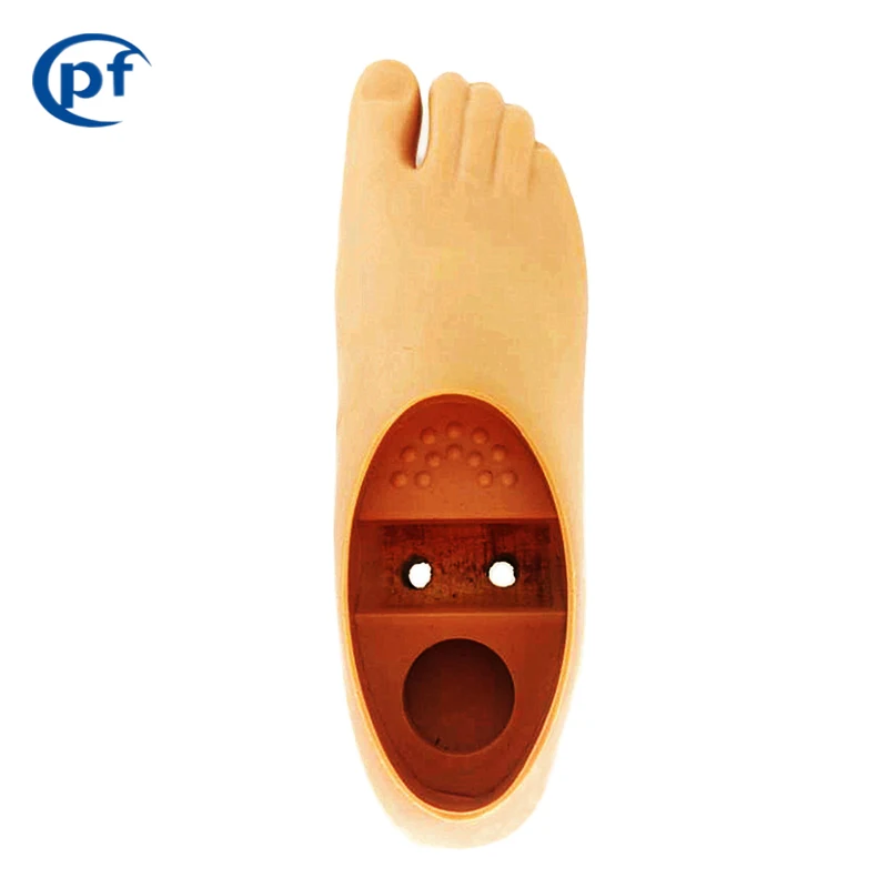 prosthetic toes artificial limbs foot  prosthetic foot two hole double axis foot