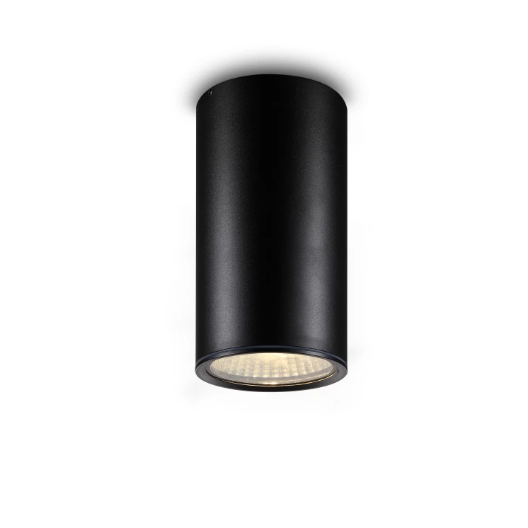 Cylinder Black Housing Down Light Cob 12w 18w 20w Ip65 Waterproof Outdoor Ceiling Mounted Surface Led Downlight