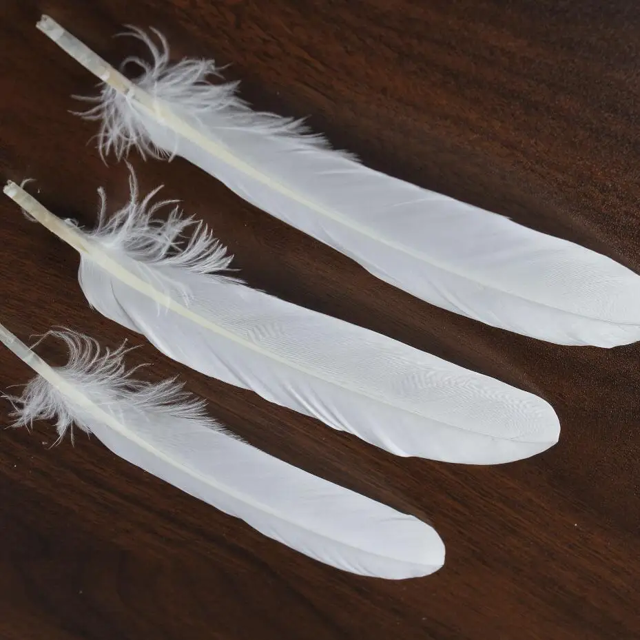 Bulk soft white duck feather China Feather Manufacturer Direct Sale Indonesia Curved Feathers