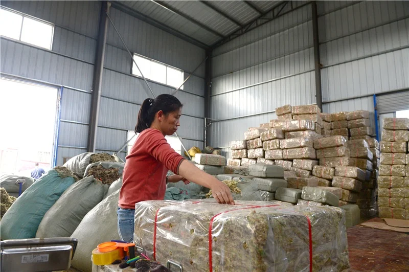 Oem Custom Muschio Natural Preserved Wholesale Peat Moss Green Dried Garden Supplies Sphagnum Peat Moss Dry Sphagnumn Moss