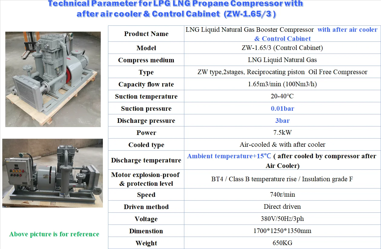 LPG LNG Compressor 9