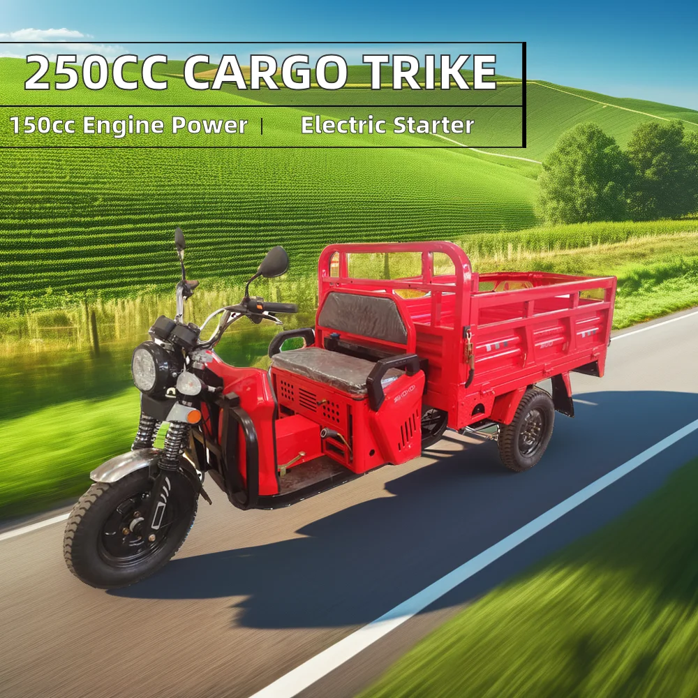 Chinese 250cc Self-Gasoline Engine 3-Wheel Trike 200cc Petrol Model Cargo Tricycle Motorcycle New Energy Vehicle
